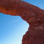 Busty Top Espresso-Bikini Espresso